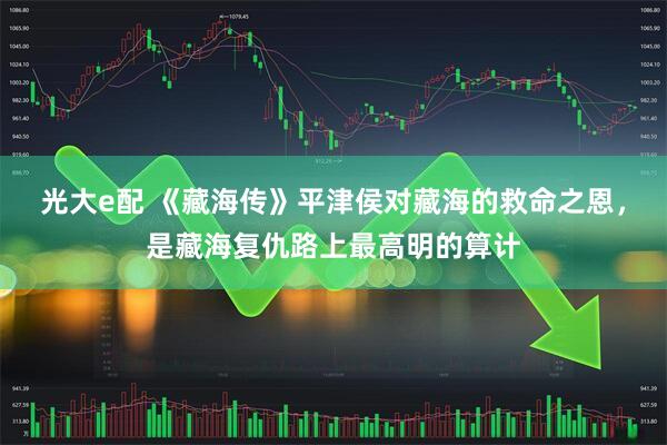 光大e配 《藏海传》平津侯对藏海的救命之恩，是藏海复仇路上最高明的算计