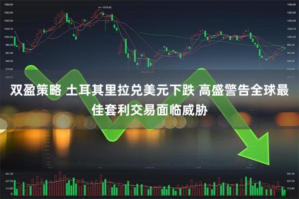 双盈策略 土耳其里拉兑美元下跌 高盛警告全球最佳套利交易面临威胁