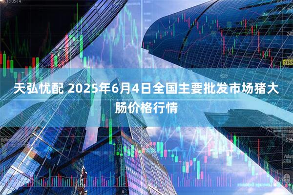 天弘忧配 2025年6月4日全国主要批发市场猪大肠价格行情