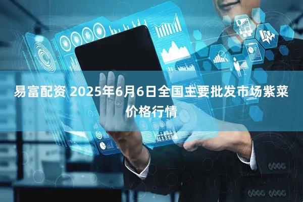 易富配资 2025年6月6日全国主要批发市场紫菜价格行情