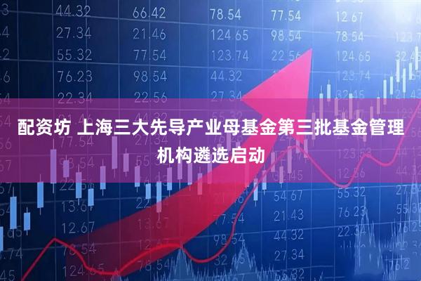 配资坊 上海三大先导产业母基金第三批基金管理机构遴选启动