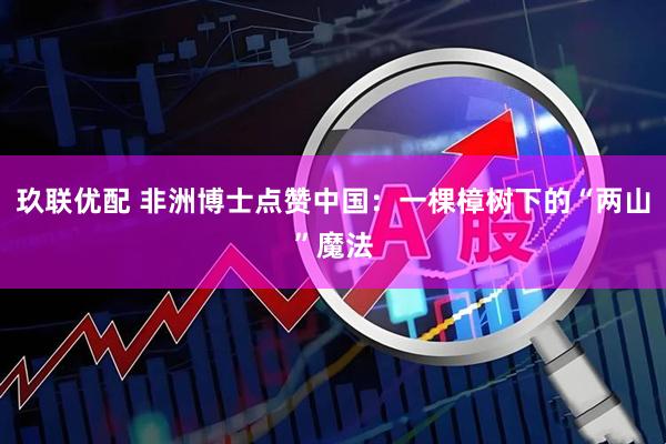 玖联优配 非洲博士点赞中国：一棵樟树下的“两山”魔法