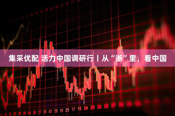 集采优配 活力中国调研行丨从“浙”里，看中国