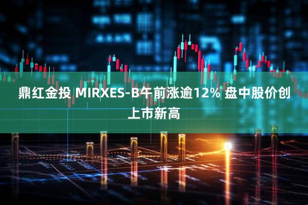 鼎红金投 MIRXES-B午前涨逾12% 盘中股价创上市新高